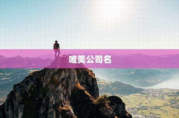 唯美公司名