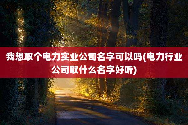 我想取个电力实业公司名字可以吗(电力行业公司取什么名字好听)