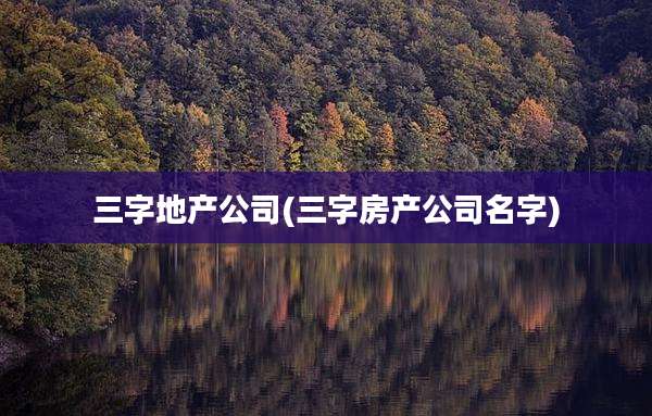 三字地产公司(三字房产公司名字)