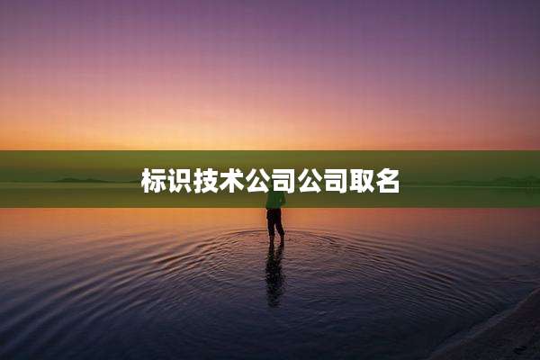 标识技术公司公司取名