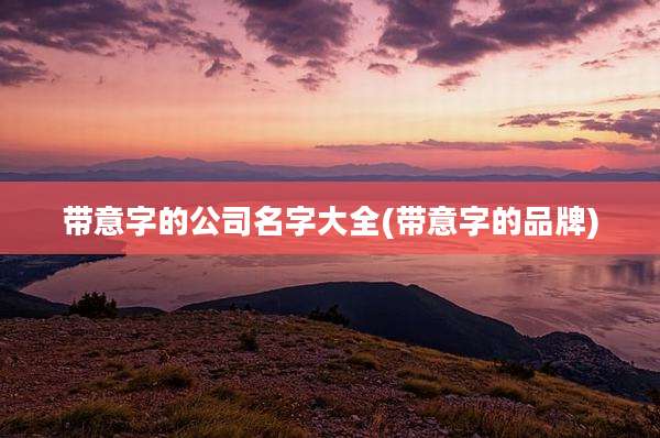 带意字的公司名字大全(带意字的品牌)