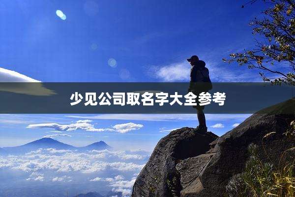 少见公司取名字大全参考
