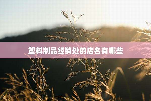 塑料制品经销处的店名有哪些