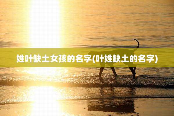 姓叶缺土女孩的名字(叶姓缺土的名字)