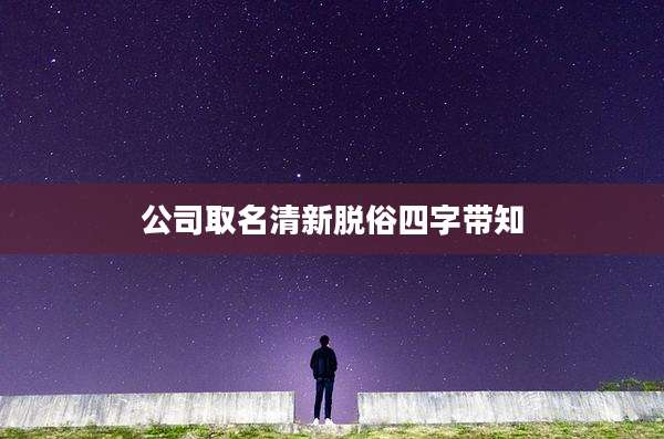 公司取名清新脱俗四字带知