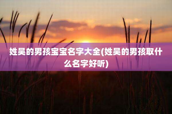 姓吴的男孩宝宝名字大全(姓吴的男孩取什么名字好听)