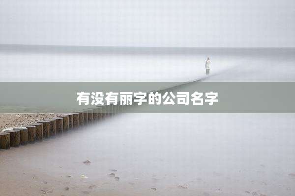 有没有丽字的公司名字