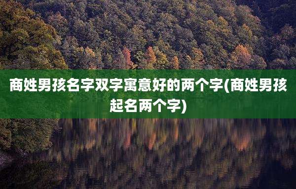 商姓男孩名字双字寓意好的两个字(商姓男孩起名两个字)