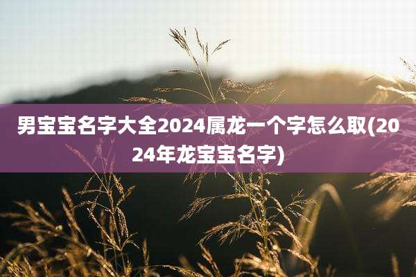 男宝宝名字大全2024属龙一个字怎么取(2024年龙宝宝名字)