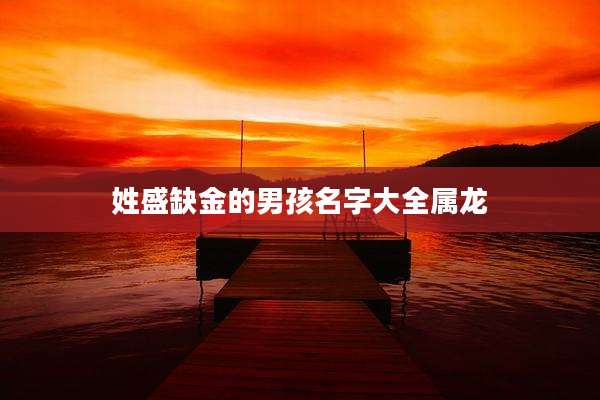 姓盛缺金的男孩名字大全属龙