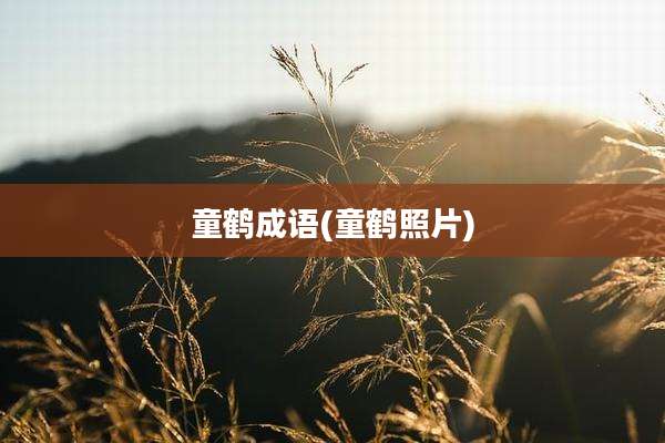 童鹤成语(童鹤照片)