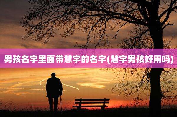 男孩名字里面带慧字的名字(慧字男孩好用吗)