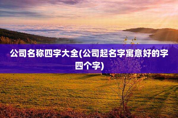 公司名称四字大全(公司起名字寓意好的字四个字)