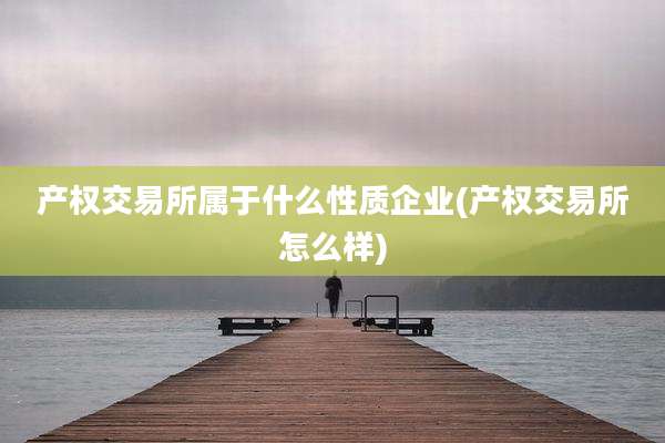 产权交易所属于什么性质企业(产权交易所怎么样)