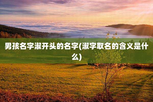 男孩名字淑开头的名字(淑字取名的含义是什么)