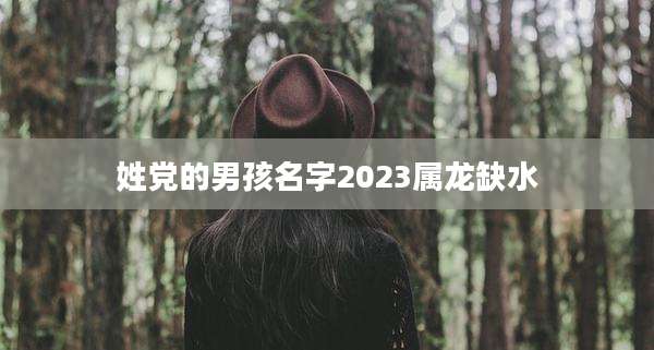 姓党的男孩名字2023属龙缺水
