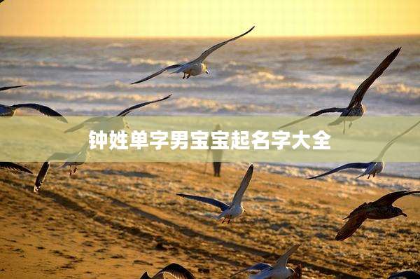 钟姓单字男宝宝起名字大全