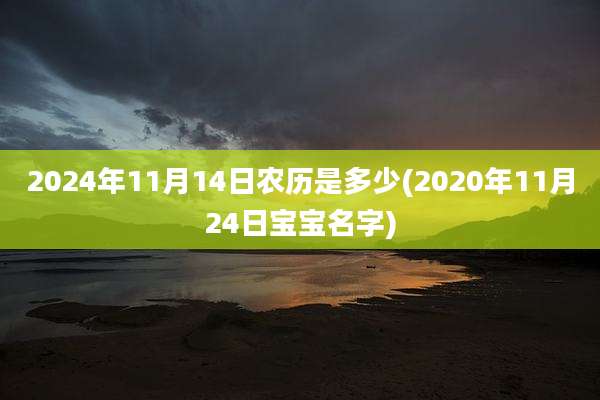 2024年11月14日农历是多少(2020年11月24日宝宝名字)