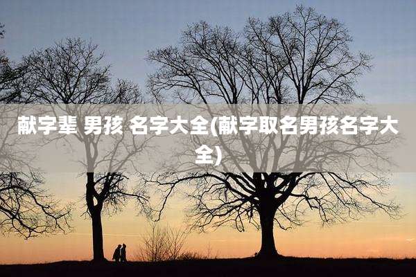 献字辈 男孩 名字大全(献字取名男孩名字大全)