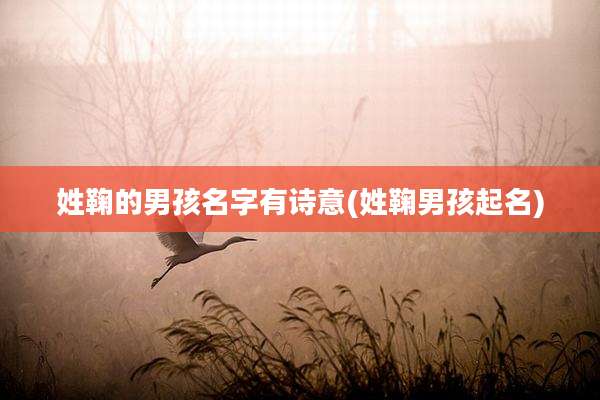 姓鞠的男孩名字有诗意(姓鞠男孩起名)