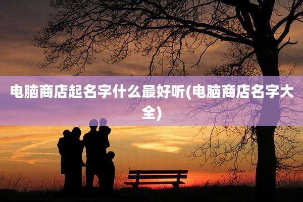 电脑商店起名字什么最好听(电脑商店名字大全)