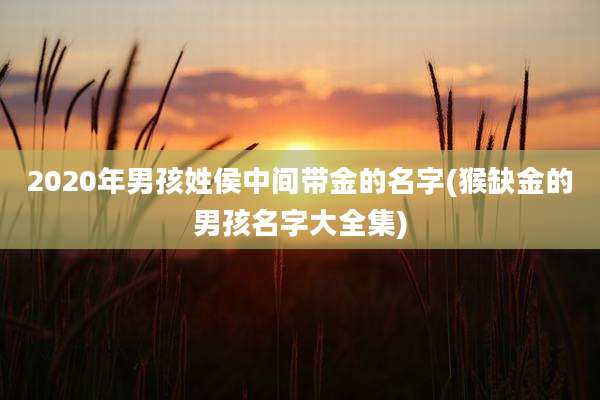 2020年男孩姓侯中间带金的名字(猴缺金的男孩名字大全集)