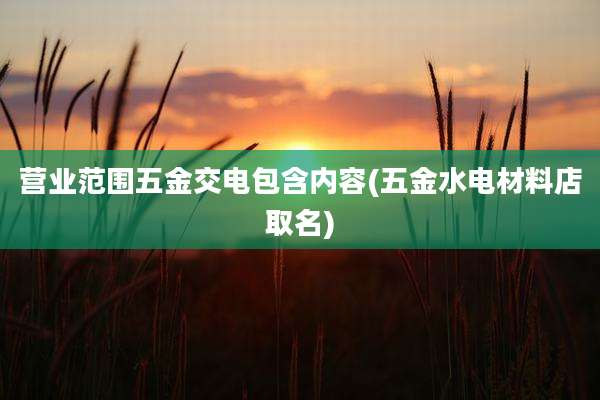 营业范围五金交电包含内容(五金水电材料店取名)