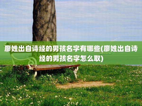 廖姓出自诗经的男孩名字有哪些(廖姓出自诗经的男孩名字怎么取)