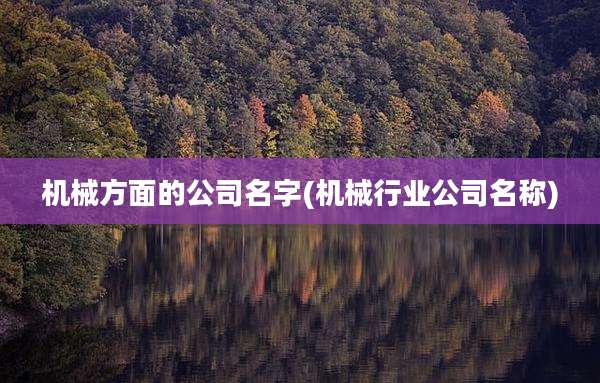 机械方面的公司名字(机械行业公司名称)