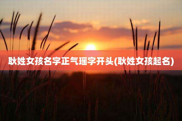 耿姓女孩名字正气瑶字开头(耿姓女孩起名)