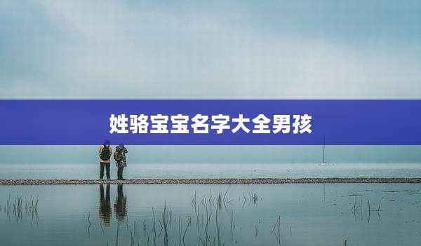 姓骆宝宝名字大全男孩