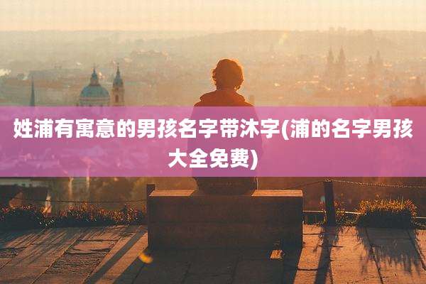 姓浦有寓意的男孩名字带沐字(浦的名字男孩大全免费)