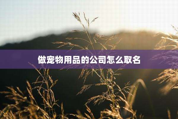 做宠物用品的公司怎么取名