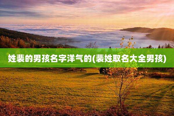 姓裴的男孩名字洋气的(裴姓取名大全男孩)