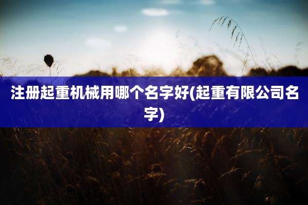 注册起重机械用哪个名字好(起重有限公司名字)