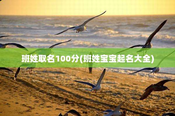 班姓取名100分(班姓宝宝起名大全)