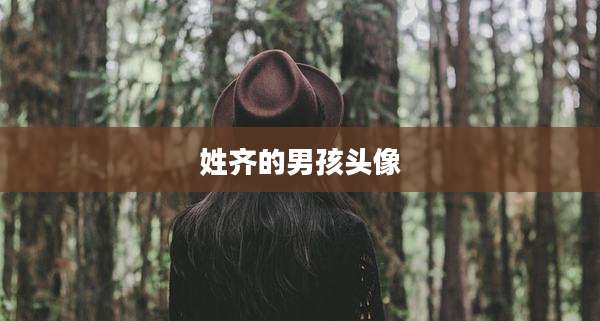 姓齐的男孩头像