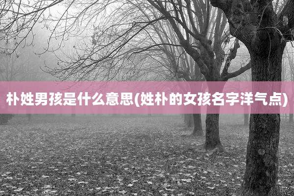 朴姓男孩是什么意思(姓朴的女孩名字洋气点)
