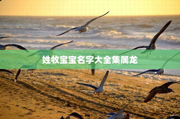 姓牧宝宝名字大全集属龙