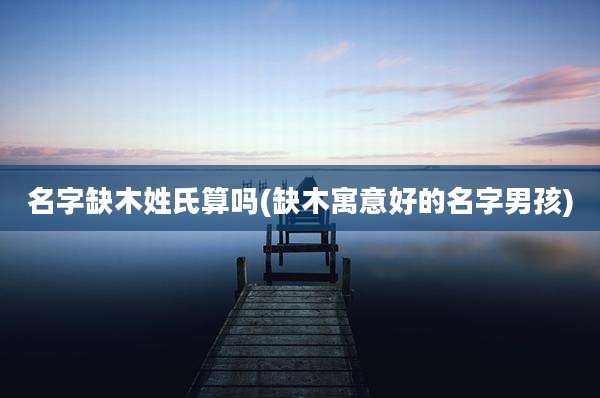 名字缺木姓氏算吗(缺木寓意好的名字男孩)