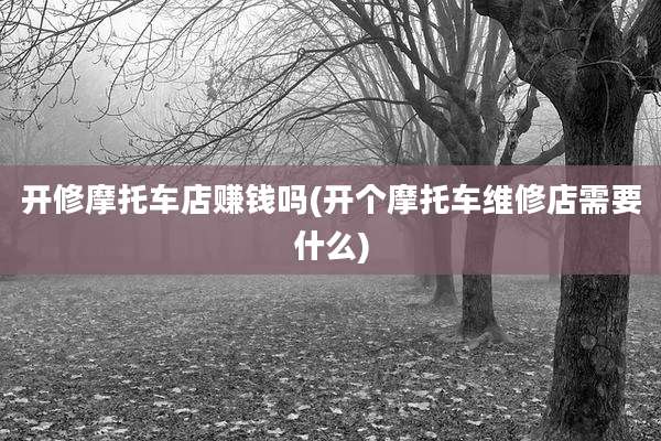 开修摩托车店赚钱吗(开个摩托车维修店需要什么)