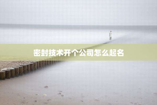 密封技术开个公司怎么起名