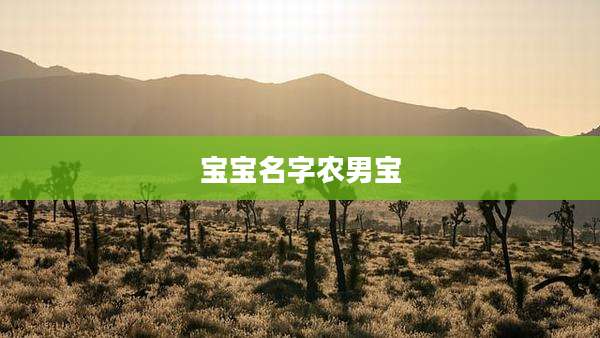 宝宝名字农男宝
