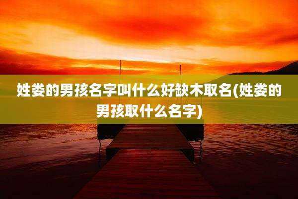 姓娄的男孩名字叫什么好缺木取名(姓娄的男孩取什么名字)