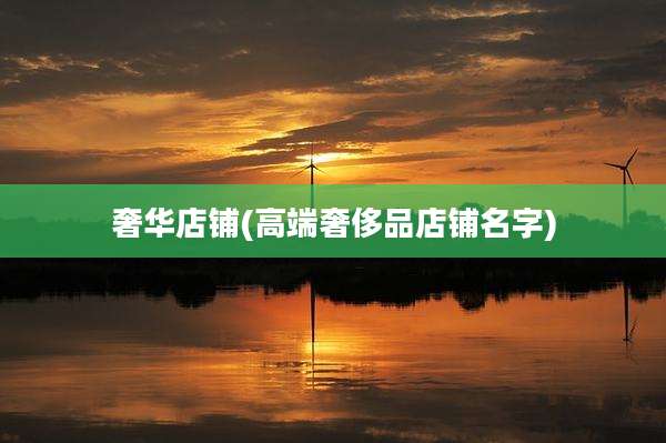 奢华店铺(高端奢侈品店铺名字)