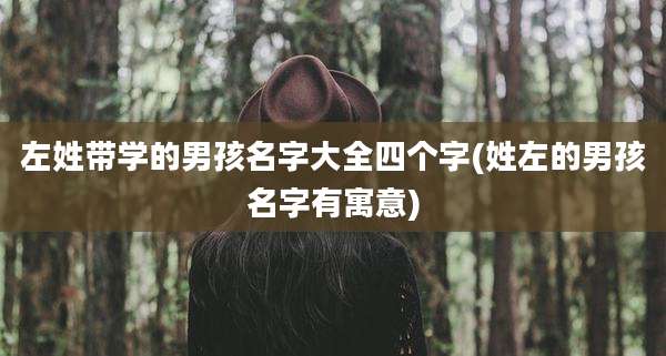 左姓带学的男孩名字大全四个字(姓左的男孩名字有寓意)