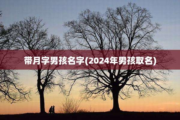 带月字男孩名字(2024年男孩取名)