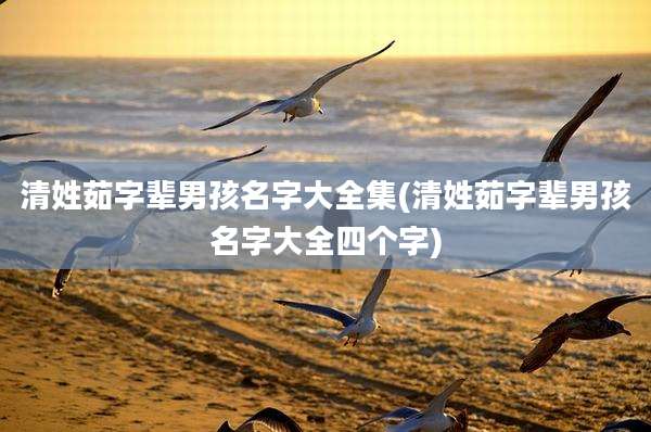 清姓茹字辈男孩名字大全集(清姓茹字辈男孩名字大全四个字)