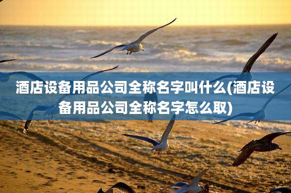 酒店设备用品公司全称名字叫什么(酒店设备用品公司全称名字怎么取)