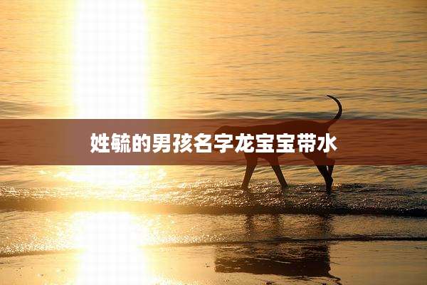 姓毓的男孩名字龙宝宝带水